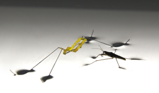 Illustration for article titled Incredible Robotic Water Strider Jumps Like the Real Thing